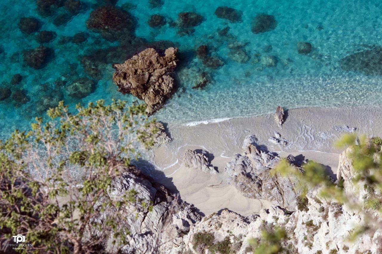 Villa Alice Capo Vaticano Extérieur photo